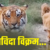 3 वनकर्मियों को मारा, फिर हुई 8 साल की कैद, सबसे खूंखार ‘विक्रम’ की ये है स्टोरी