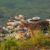 उत्तराखंड टाइगर रिजर्व के लिए जारी फंड नहीं हुआ खर्च, NTCA ने मुख्य सचिव को भेजा पत्र